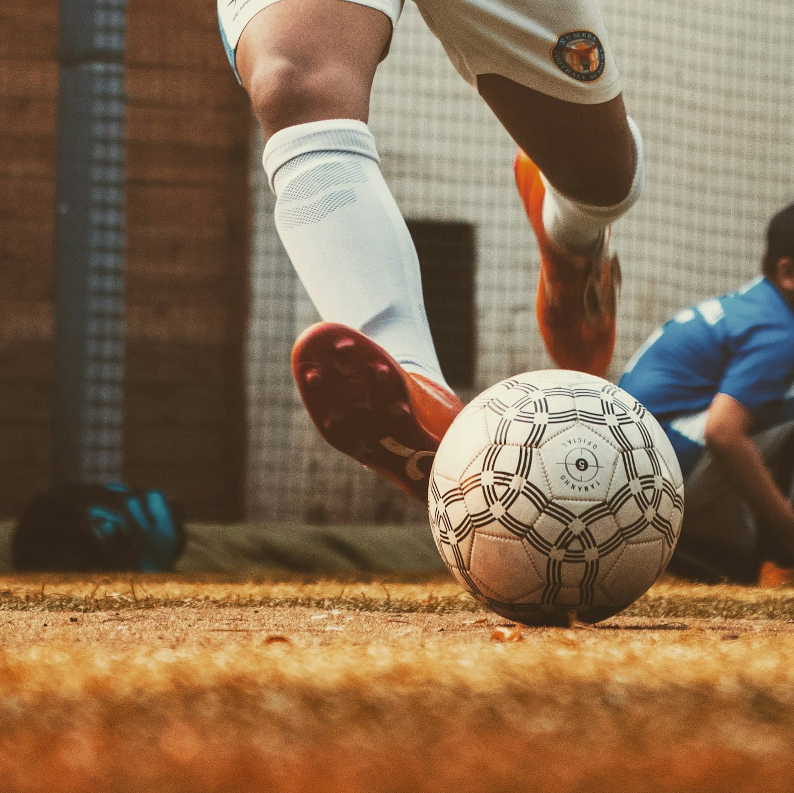 Les U15 terminent leur phase régulière invaincus à domicile